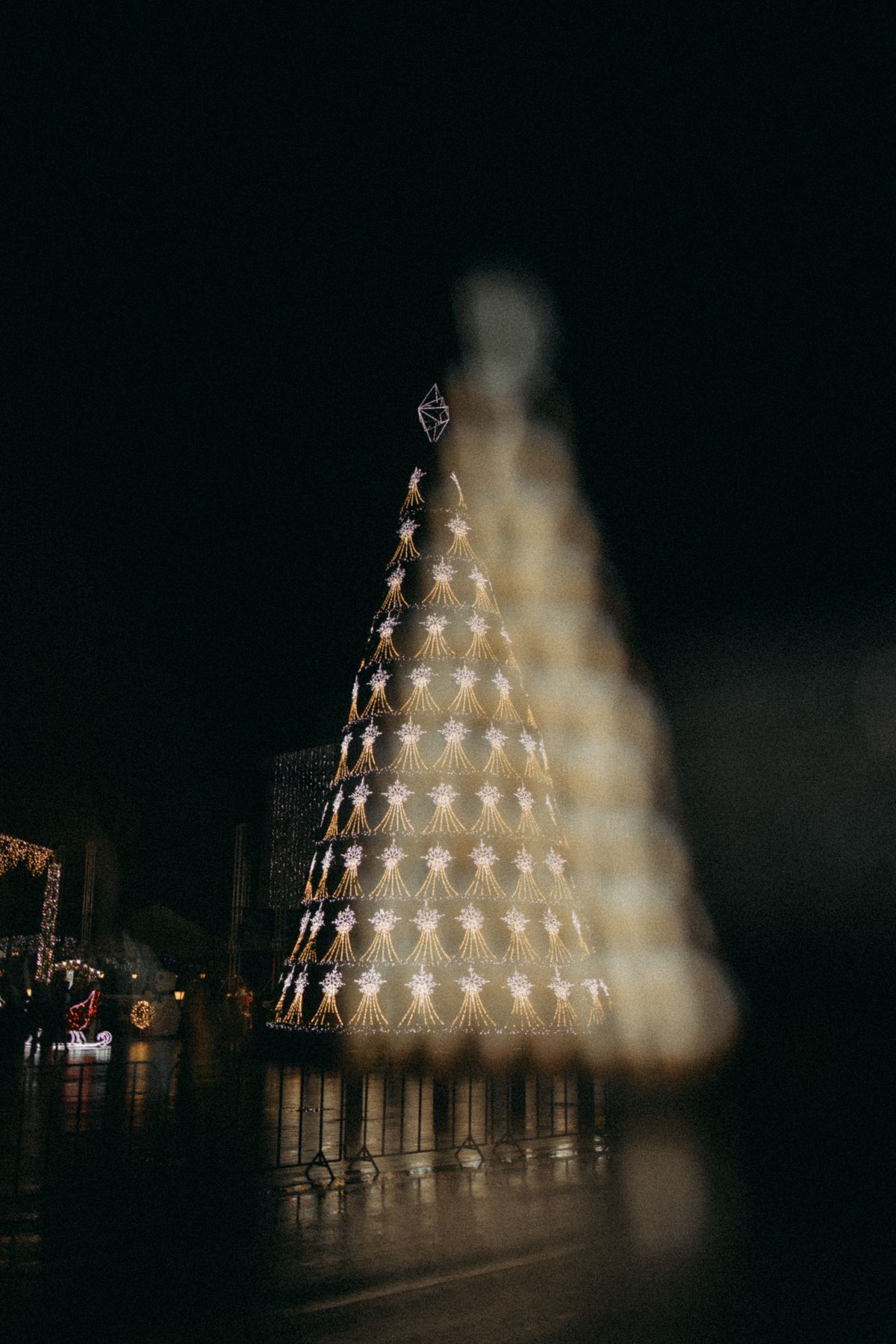 Rosedon Christmas tree