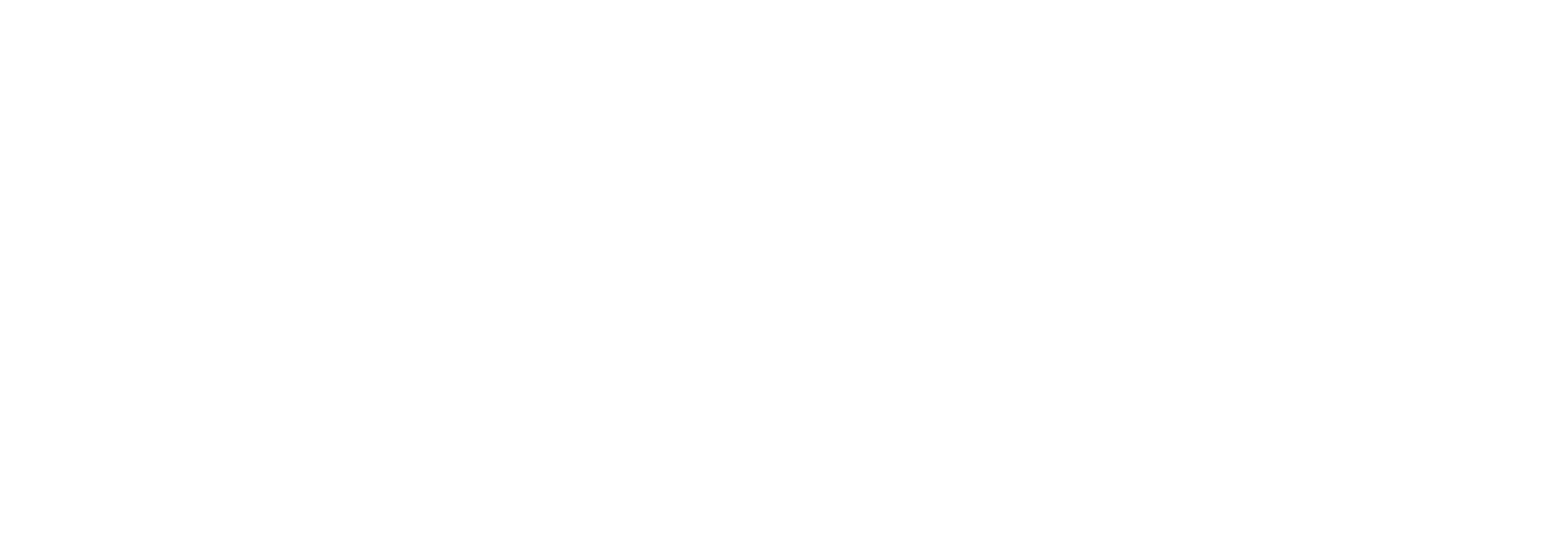 Lost Society